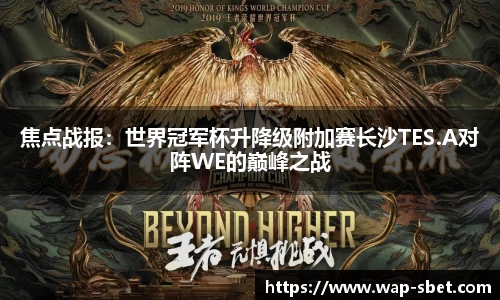 sbet实博官方网站