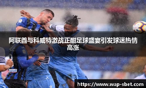 阿联酋与科威特激战正酣足球盛宴引发球迷热情高涨